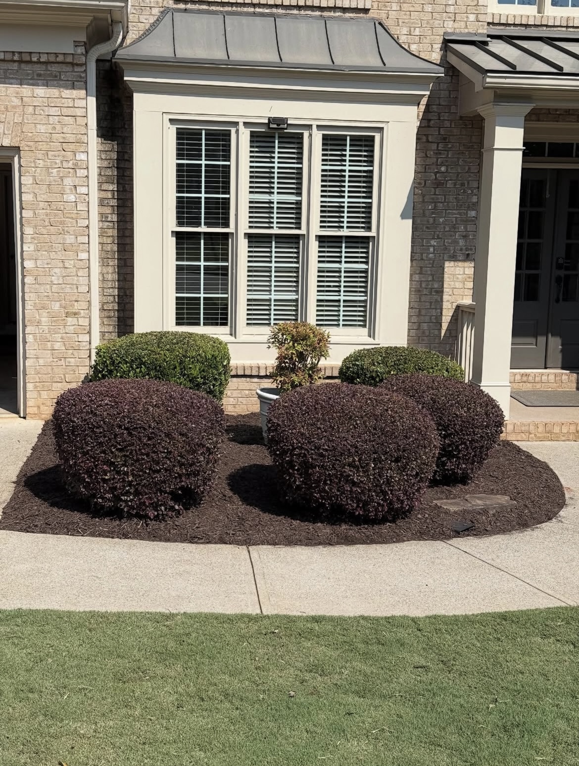 Professional landscape design with mulch and plantings - Professional landscaping in Cumming, GA