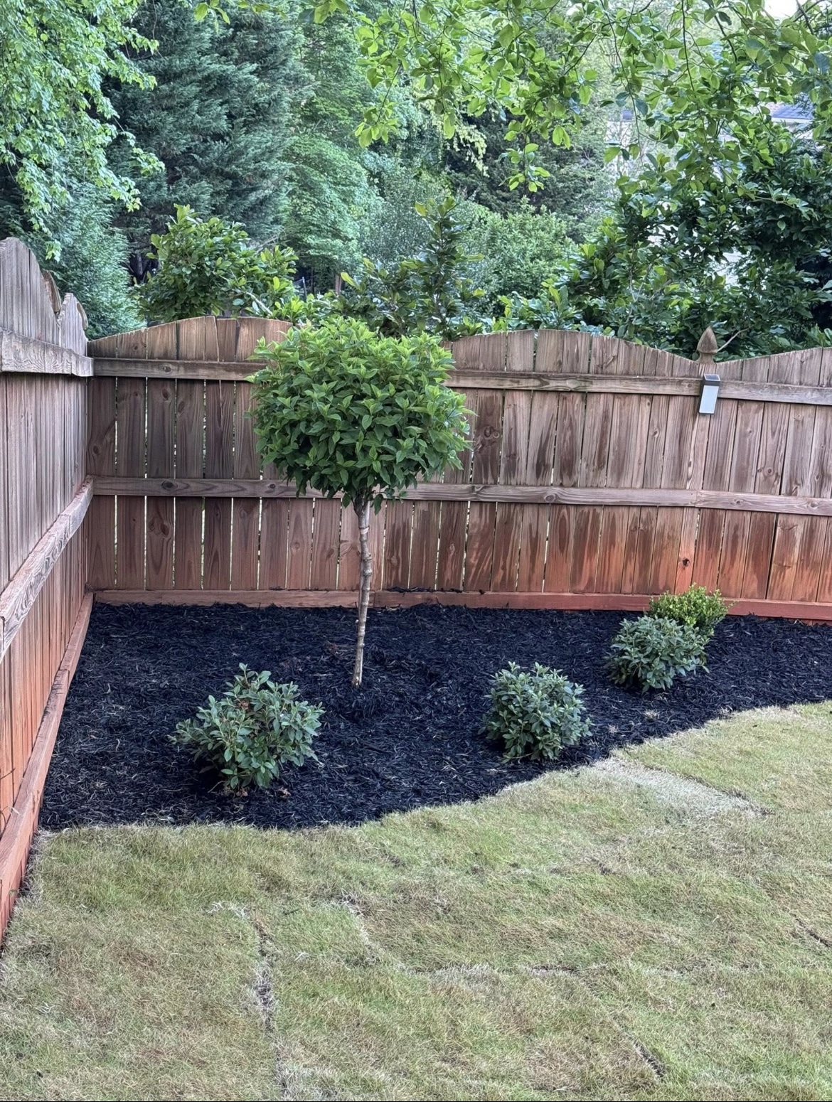 Slope landscaping solutions