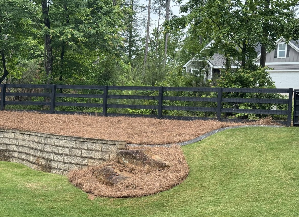 Backyard landscaping project