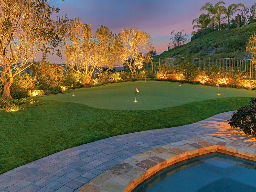 Backyard landscape lighting